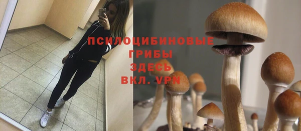 прущие крисы Богородск